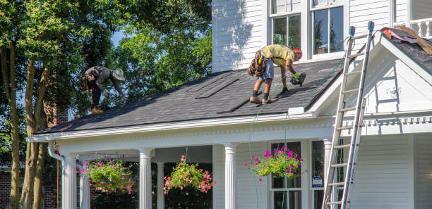 Best Gutter Installation and Roofing  in Welby, CO