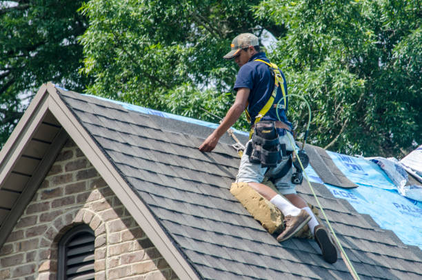 Professional Roofing Contractor in Welby, CO